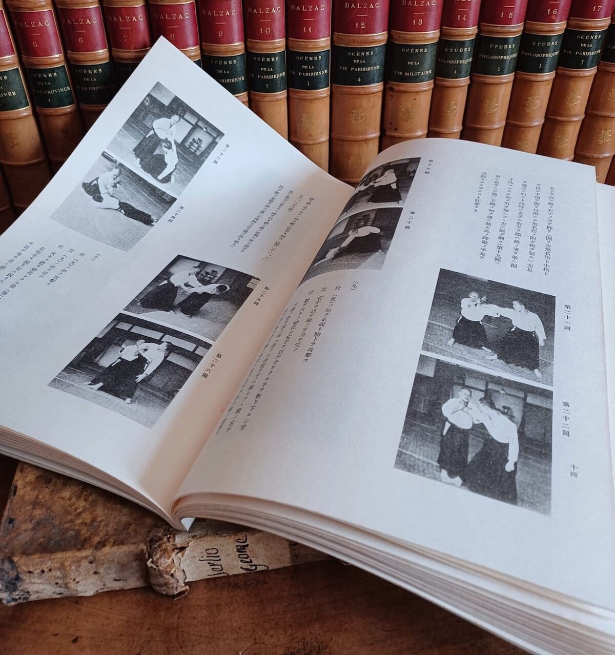 ო-სენსეის ბუდო